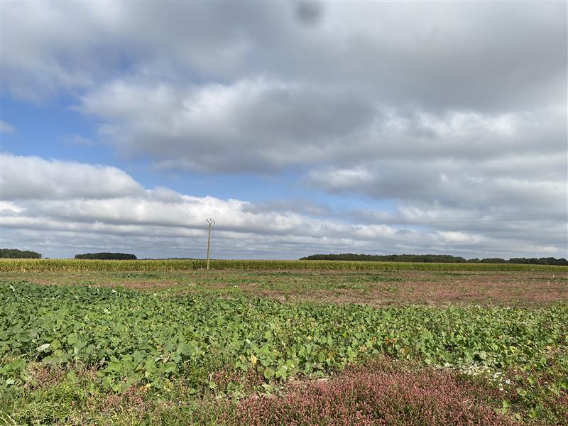 Projet agrivoltaïque d'Oucques-la-Nouvelle